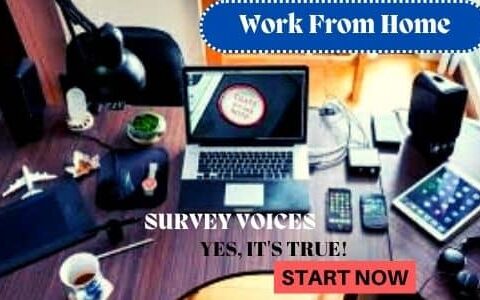 Work From Home Survey Voices