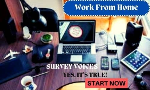 Work From Home Survey Voices