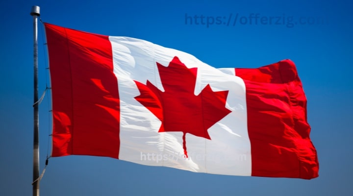 Best 10 Small Business Ideas for Canada;